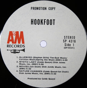 Hookfoot : Hookfoot (LP, Album, Promo, Ter)