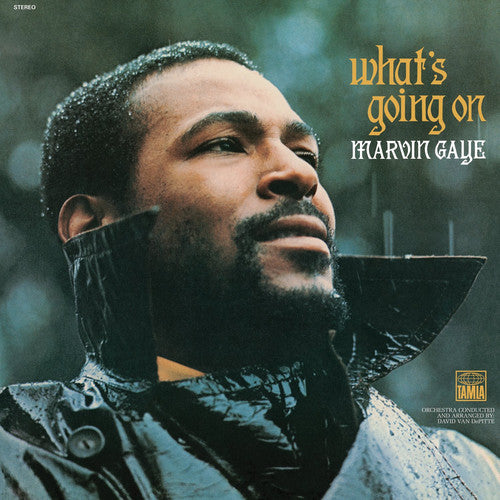 Marvin Gaye - What's Going On LP (180 Gram Vinyl, Reissue)