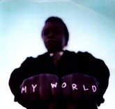 Lee Fields - My World LP