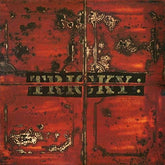 Tricky -  Maxinquaye LP