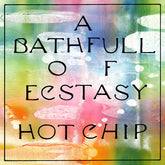 Hot Chip - Bath Full Of Ecstasy LP