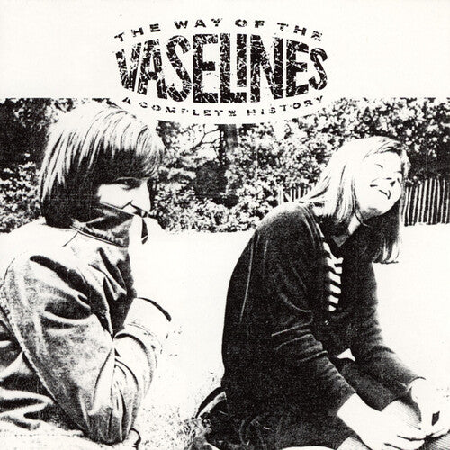 The Vaselines - The Way of the Vaselines 2LP (Preorder: Ships June 28, 2024)