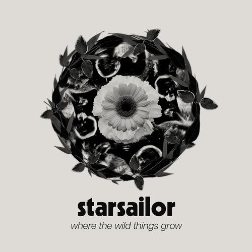 Starsailor - Where The Wild Things Grow LP (United Kingdom)