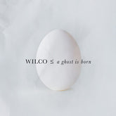 Wilco - A Ghost Is Born 2LP (Preorder: Ships February 7, 2025)