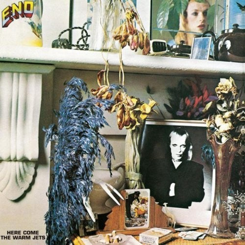 Brian Eno - Here Come The Warm Jets LP