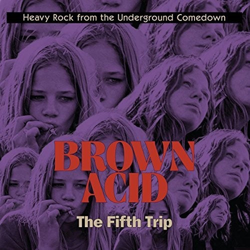 V/A - Brown Acid: The Fifth Trip LP (Compilation)