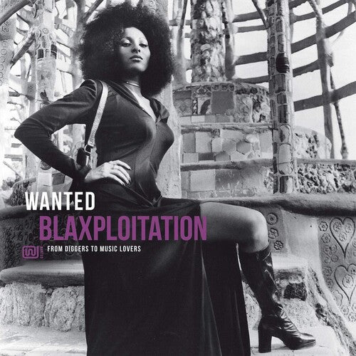 V/A - Wanted Blaxploitation LP (180g, Compilation, France Pressing)