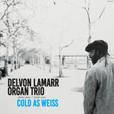 Delvon Lamarr Organ Trio – Cold As Weiss LP (Gatefold)