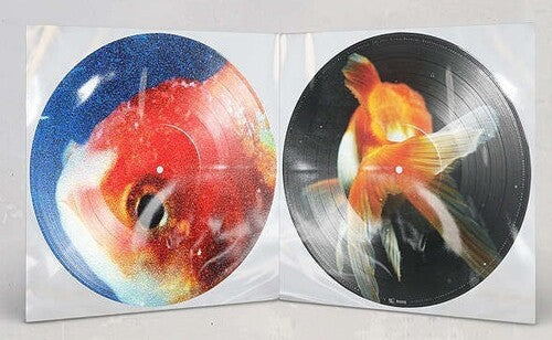 Vince Staples – Big Fish Theory 2LP (Picture Disc)