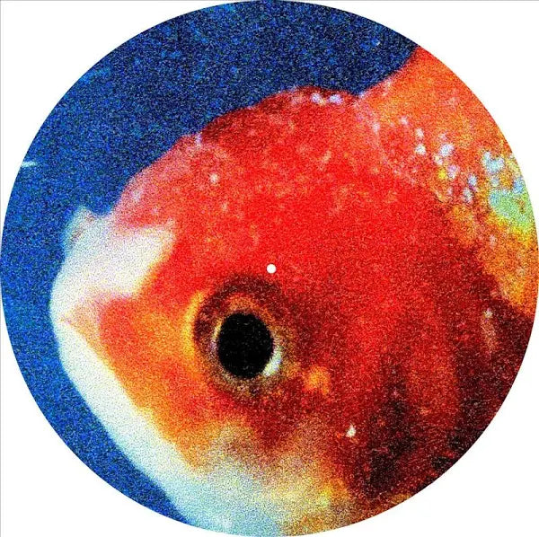 Vince Staples – Big Fish Theory 2LP (Picture Disc)