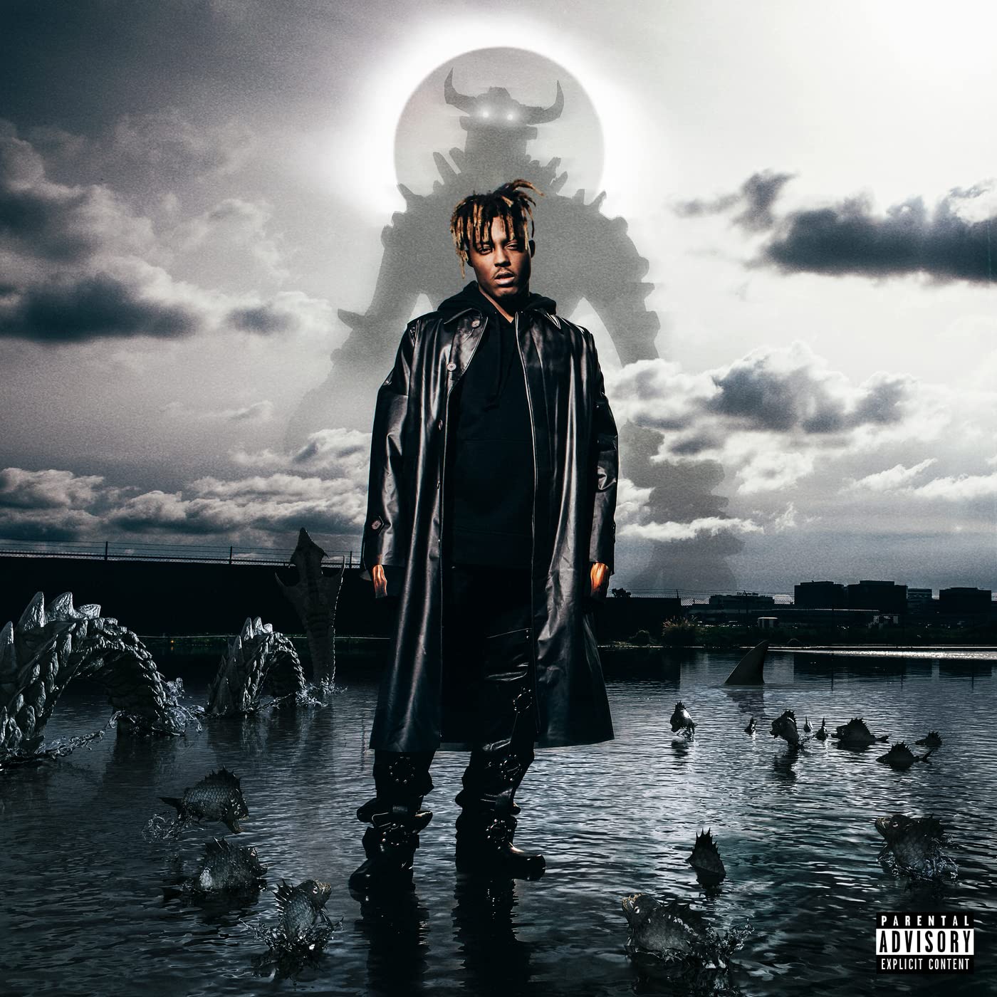 Juice WRLD - Fighting Demons 2LP (Gatefold)