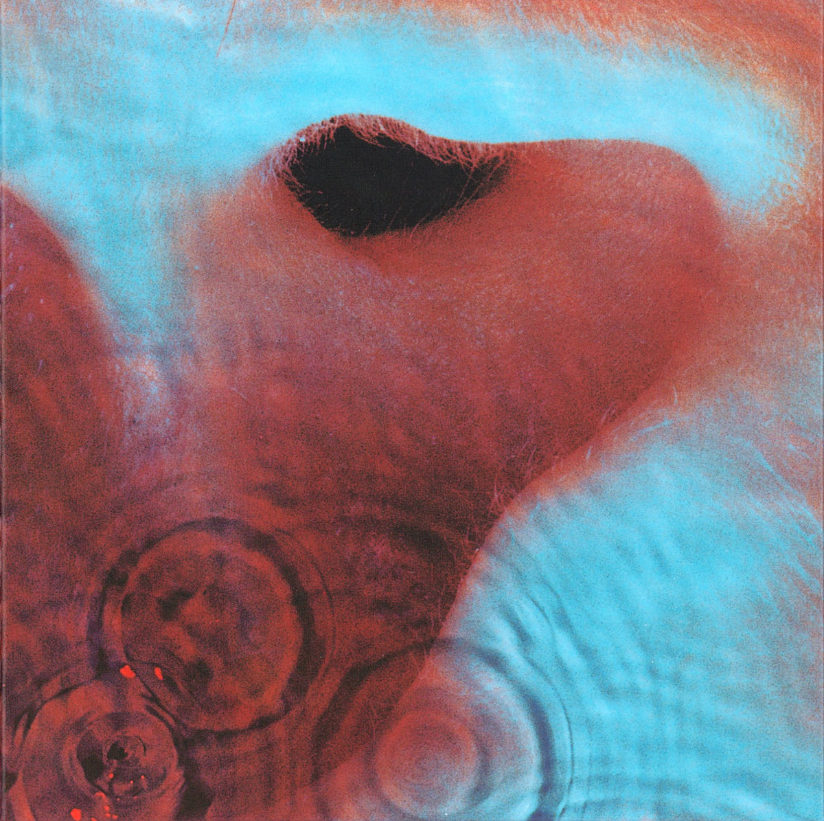 Pink Floyd - Meddle LP (Gatefold, 180g)