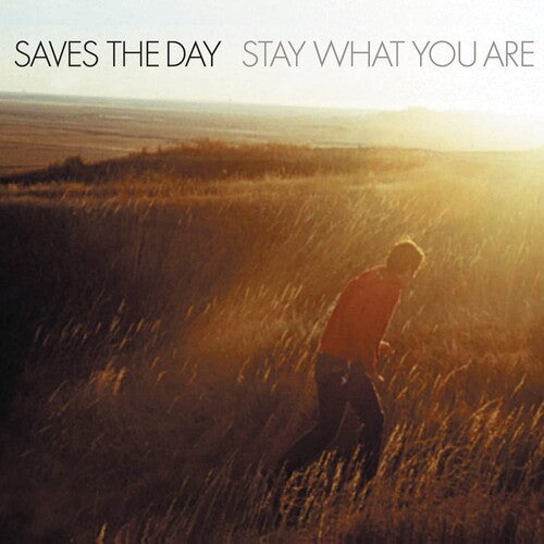 Saves the Day - Stay What You Are 2x10" (25th Anniversary Edition, Limited Edition, Splatter Colored Vinyl)